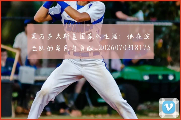 莱万多夫斯基国家队生涯:他在波兰队的角色与贡献_20260703181759